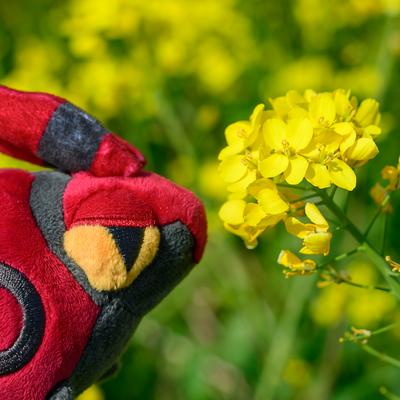 なるみ＠自鯖's avatar